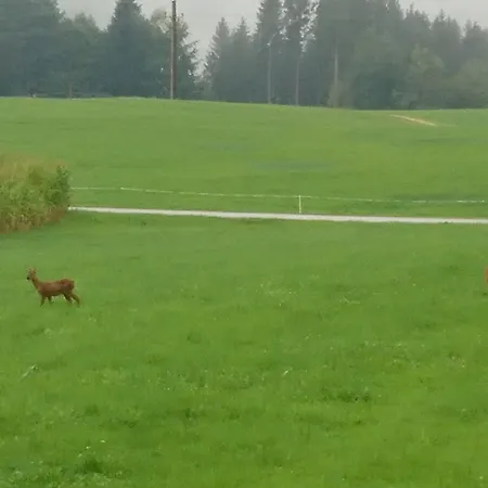 Kaiserhaus Gasthuis 3*