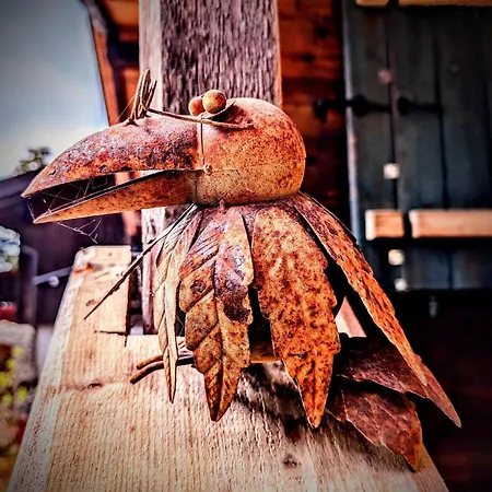 게스트하우스 Kaiserhaus 에브스