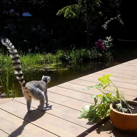 בית הארחה Kaiserhaus 3*