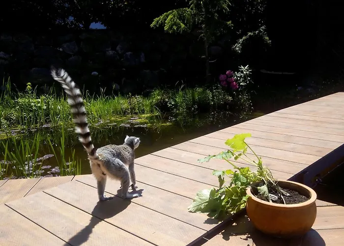 게스트하우스 Kaiserhaus 3*