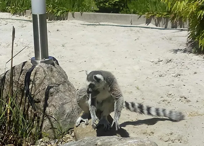 Kaiserhaus 게스트하우스